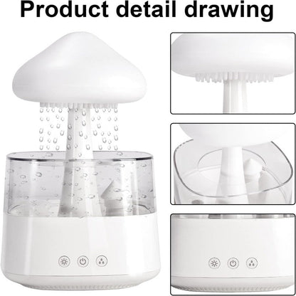 Rain Cloud humidifier