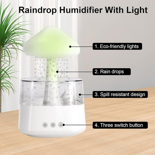 Rain Cloud humidifier
