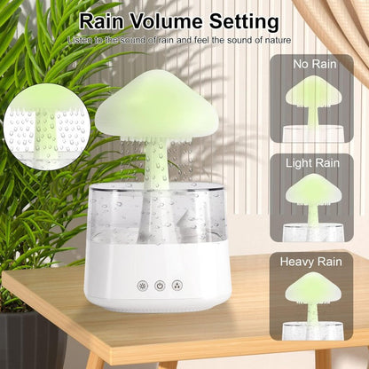 Rain Cloud humidifier
